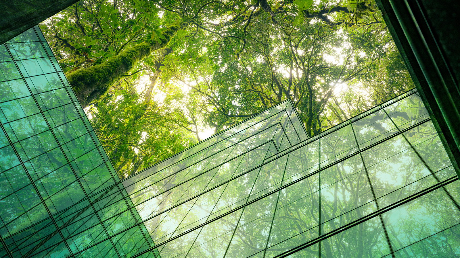 Glass building and trees